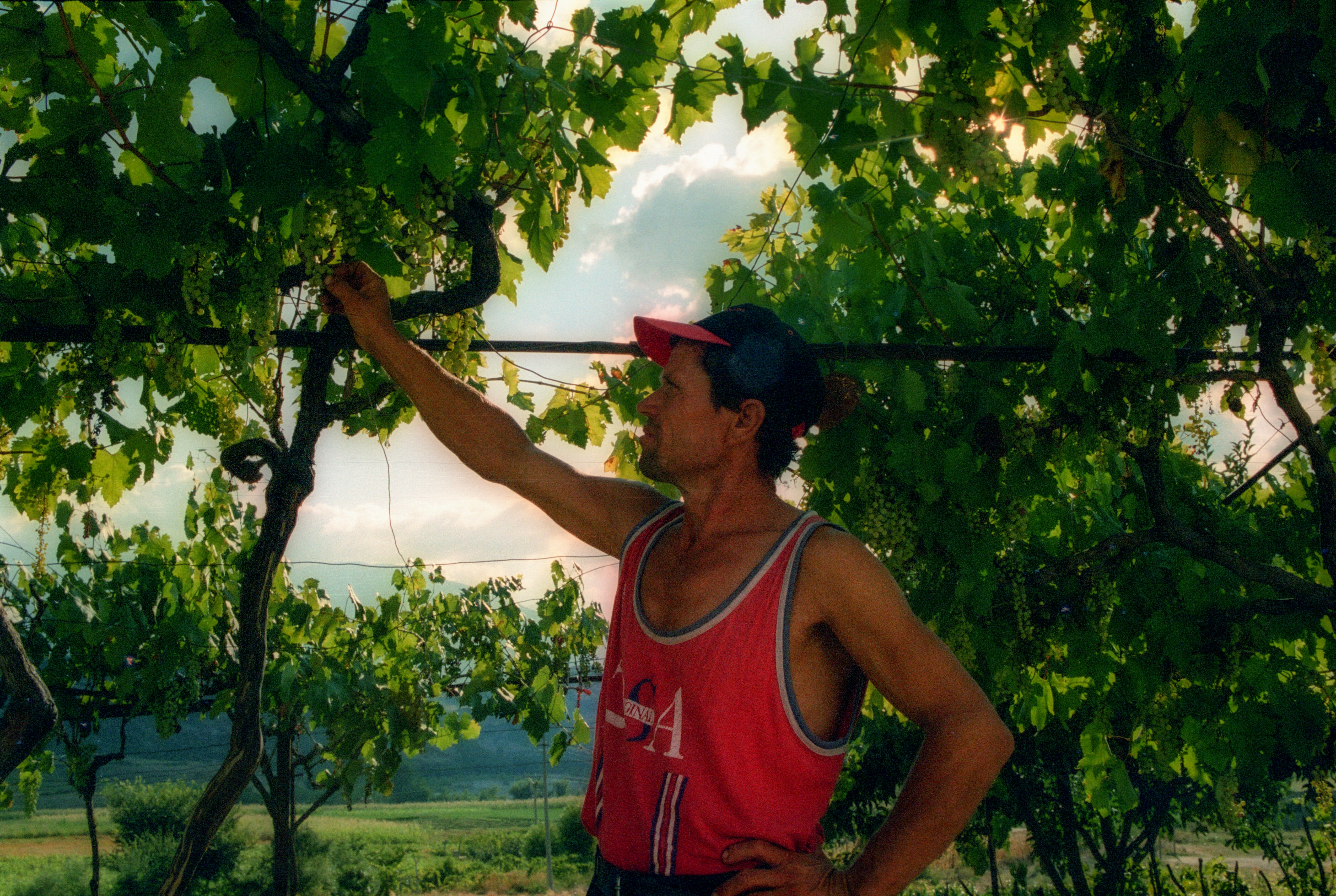 man in red tank top and black cap holding green leaf tree during daytime